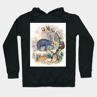 Cover of A history of the Earth (1820) Hoodie